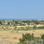 WhatsApp Image 2025 07 07 at 12.58.43 (6)